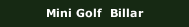 Mini Golf  Billar